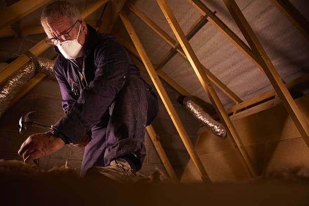 Best Cellulose Insulation in Checotah, OK