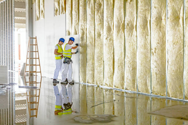 Best Specialized Insulation Services in Checotah, OK